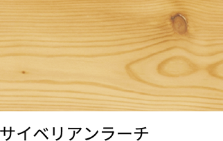 サイベリアンラーチ